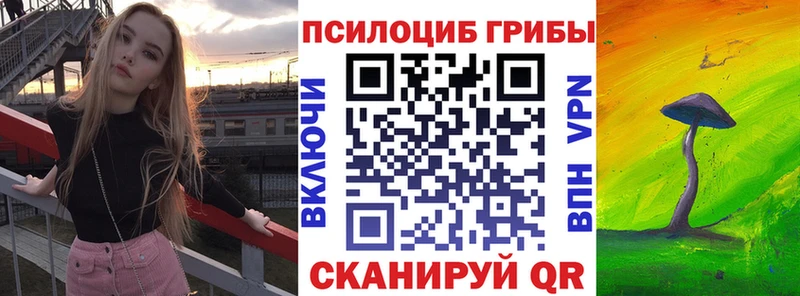 Псилоцибиновые грибы прущие грибы  купить  цена  Сухиничи 
